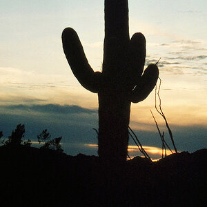 img083.jpg