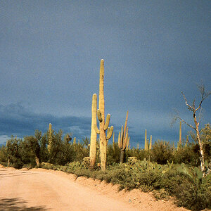 img087.jpg