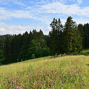 DSC_2415.JPG