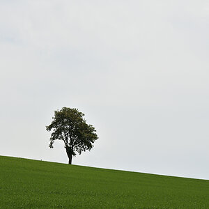 DSC_2373.JPG