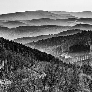 Kinzigtal-März-9878-Bearbeitet-Bearbeitet.jpg