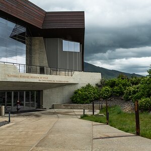 DSC_0916a.jpg