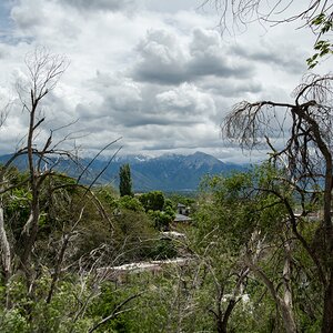 DSC_0970.jpg