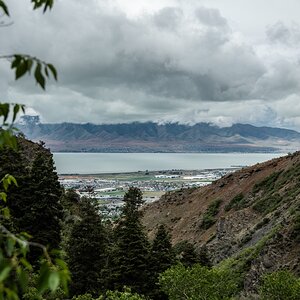 DSC_1005.jpg