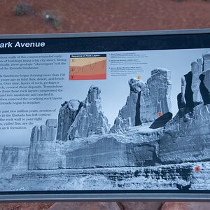 DSC_1029.jpg