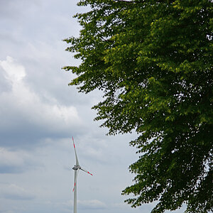811_8193t25l20s50p1.jpg