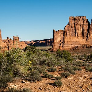 DSC_1034.jpg