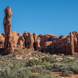 DSC_1039.jpg