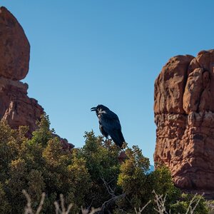 DSC_1047.jpg