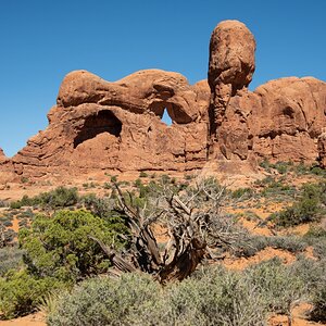 DSC_1097.jpg
