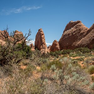 DSC_1116.jpg