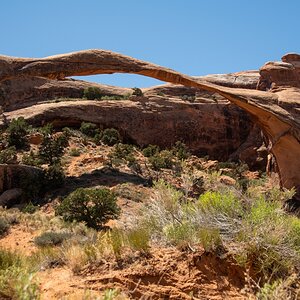 DSC_1123.jpg