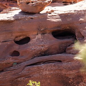 DSC_1154.jpg