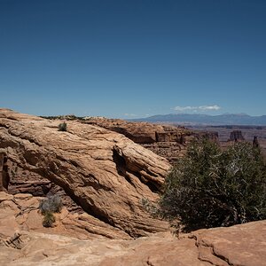 DSC_1185.jpg