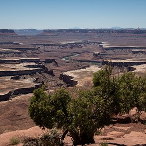DSC_1192.jpg