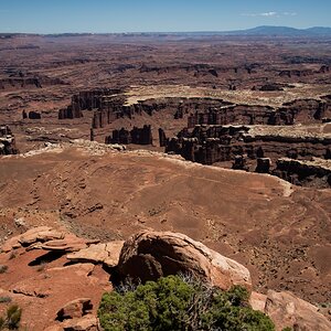 DSC_1196.jpg