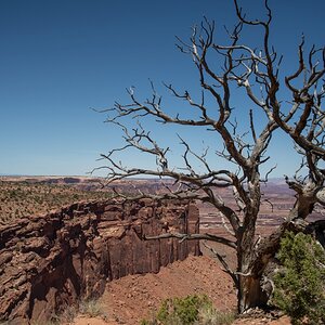 DSC_1201.jpg