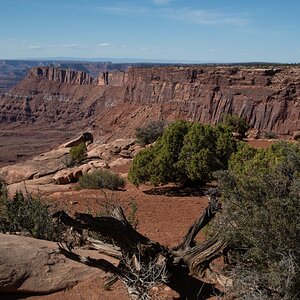 DSC_1208.jpg