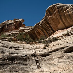 DSC_1240.jpg