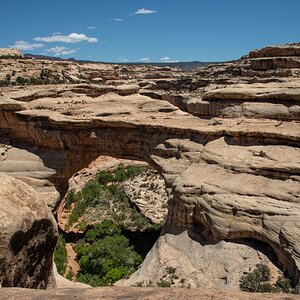 DSC_1251.jpg