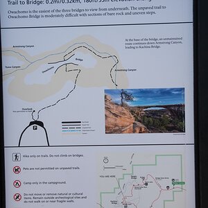 DSC_1254.jpg