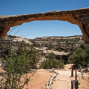 DSC_1255.jpg