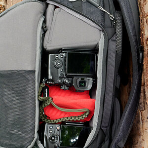 PANA2728_DxO_DxO.jpg