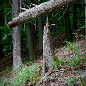 P1099532_DxO.jpg