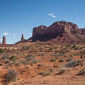 DSC_1300.jpg