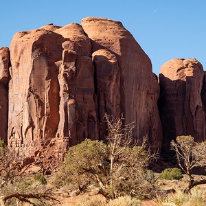 DSC_1326.jpg