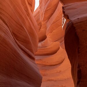 DSC_1382.jpg