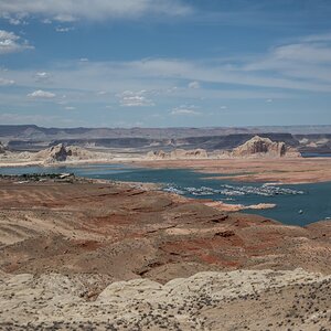 DSC_1462.jpg