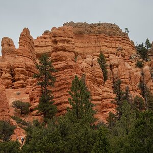 DSC_1468.jpg