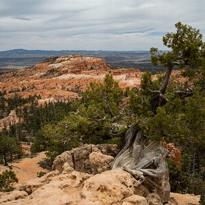 DSC_1487.jpg