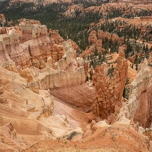 DSC_1488.jpg