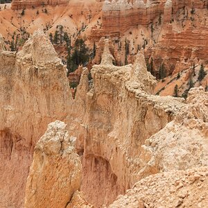 DSC_1492.jpg