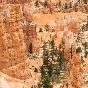 DSC_1495.jpg