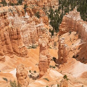 DSC_1503.jpg