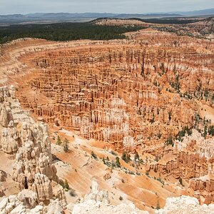 DSC_1508.jpg