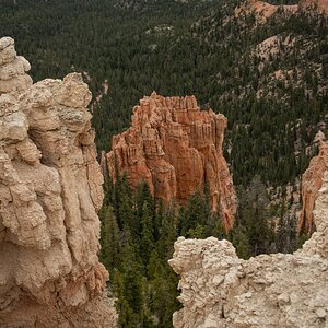 DSC_1513.jpg