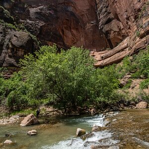 DSC_1544.jpg