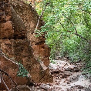 DSC_1590.jpg