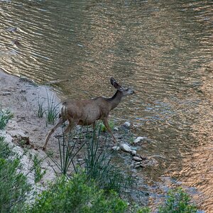 DSC_1619.jpg