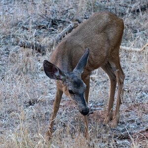 DSC_1695.jpg