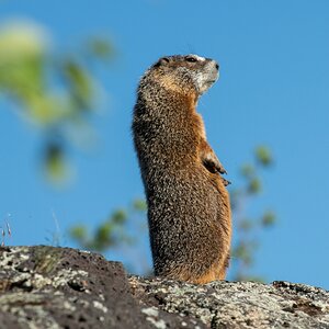 DSC_1777.jpg