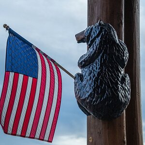 DSC_1857c.jpg