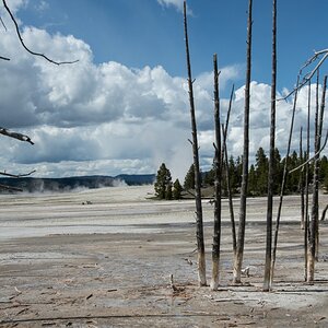 DSC_1864.jpg