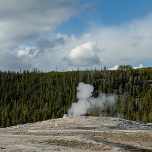 DSC_1975.jpg