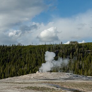 DSC_1976.jpg