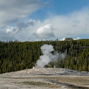 DSC_1978.jpg